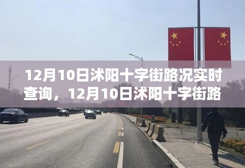 12月10日沭阳十字街路况实时查询系统详解与评测