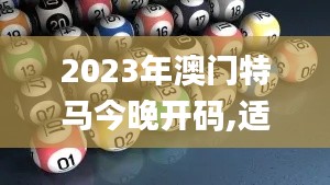 2023年澳门特马今晚开码,适用解析计划方案_创意版5.704