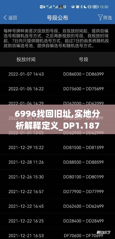 6996找回旧址,实地分析解释定义_DP1.187