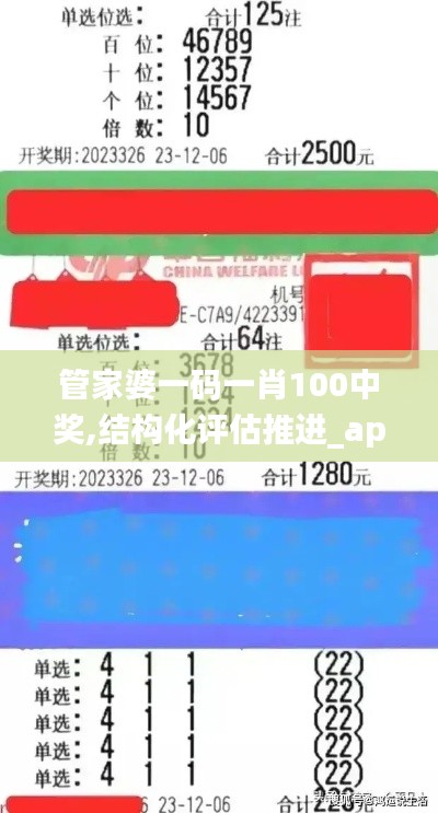 管家婆一码一肖100中奖,结构化评估推进_app9.326