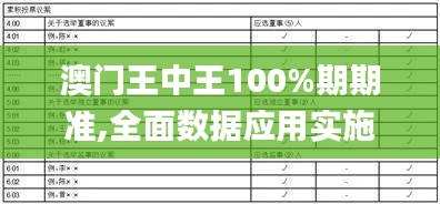 澳门王中王100%期期准,全面数据应用实施_创意版8.891