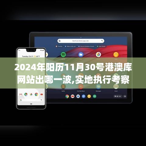 2024年阳历11月30号港澳库网站出哪一波,实地执行考察方案_ChromeOS10.980