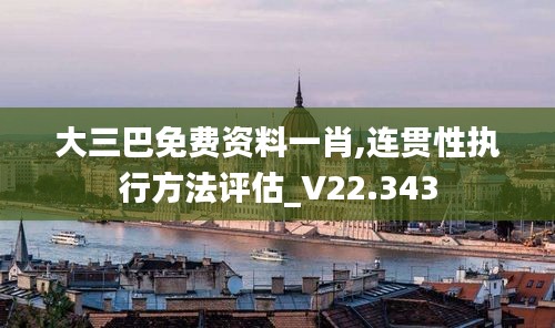 大三巴免费资料一肖,连贯性执行方法评估_V22.343