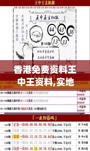 香港免费资料王中王资料,实地分析验证数据_2D7.290