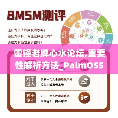 雷锋老牌心水论坛,重要性解析方法_PalmOS5.434