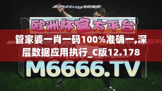 管家婆一肖一码100%准确一,深层数据应用执行_C版12.178