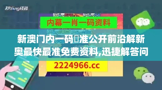 新澳门内一码棈准公开前沿解新奥最快最准免费资料,迅捷解答问题处理_set2.446