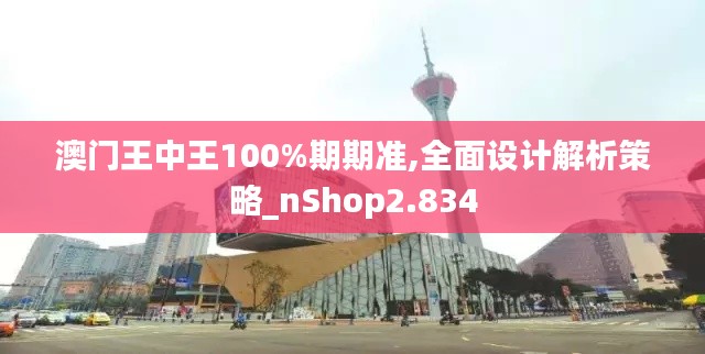 澳门王中王100%期期准,全面设计解析策略_nShop2.834