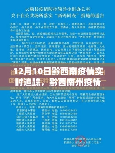 黔西南州疫情实时追踪报道，深度解析最新动态（12月10日更新）