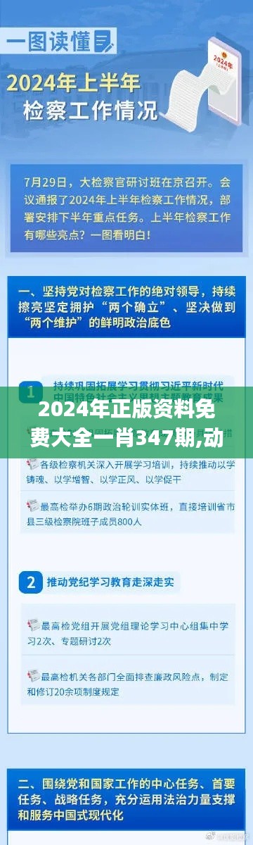 2024年正版资料免费大全一肖347期,动态说明解析_桌面版4.519