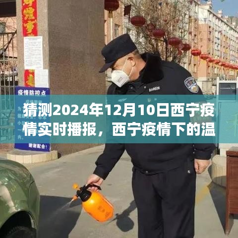 西宁疫情下的温情日常，友情、爱与陪伴的温馨故事（预测至2024年12月10日）实时播报