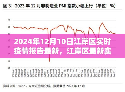 江岸区最新实时疫情报告指南，初学者与进阶用户适用（截至日期，2024年12月10日）