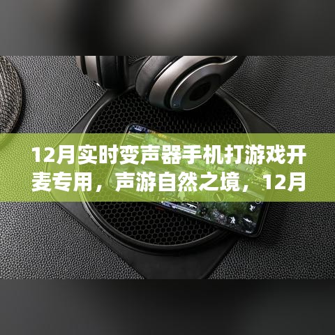 12月实时变声器助力手机游戏，开启寻心之旅，声游自然之境