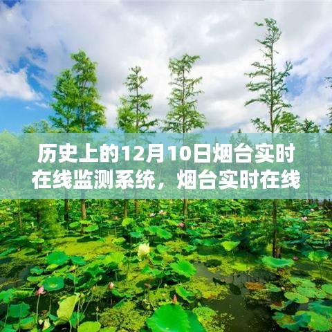 历史上的12月10日烟台实时在线监测系统里程碑，安装与操作指南揭秘