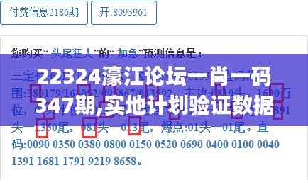 22324濠江论坛一肖一码347期,实地计划验证数据_储蓄版8.468