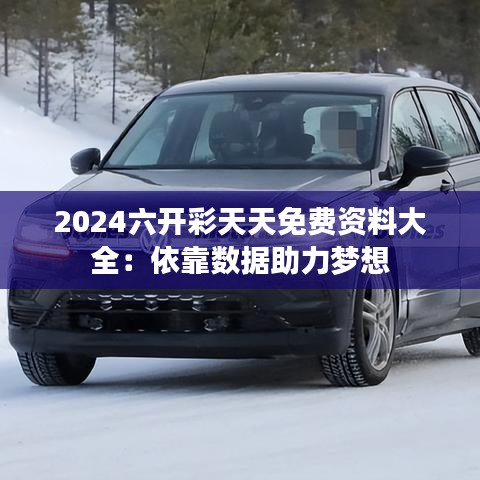 2024六开彩天天免费资料大全：依靠数据助力梦想