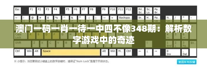澳门一码一肖一待一中四不像348期：解析数字游戏中的奇迹