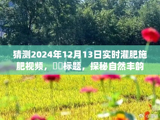 探秘自然丰韵，追寻内心的宁静与沃土——2024年实时灌肥施肥之旅​​