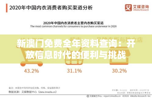 新澳门免费全年资料查询：开放信息时代的便利与挑战