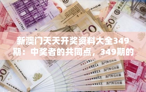 新澳门天天开奖资料大全349期：中奖者的共同点，349期的启示