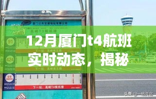 揭秘厦门T4航班实时动态下的独特小巷美食之旅，十二月厦门航班动态全解析