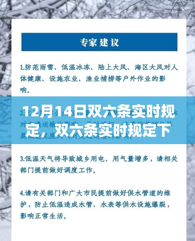 双六条实时规定下的奇妙冬日趣事，12月14日新规解读