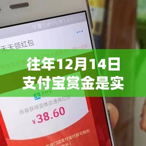 往年12月14日支付宝赏金实时到账解析