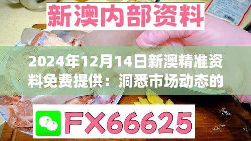 2024年12月14日新澳精准资料免费提供：洞悉市场动态的利器