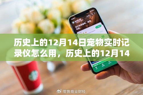 历史上的12月14日宠物实时记录仪使用指南，全面解析使用步骤与技巧