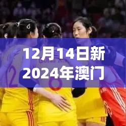 12月14日新2024年澳门天天开好彩：澳门旅游的新亮点