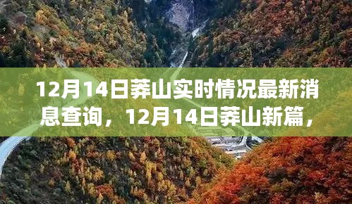 12月14日莽山最新动态，变化中的学习成就与自信源泉涌动