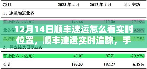 手把手教你查看顺丰速运包裹实时位置，12月14日包裹追踪指南