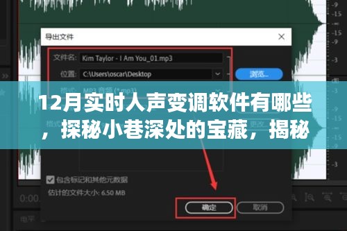 揭秘十二月最火人声变调软件，探秘小巷深处的宝藏与隐藏版音频魔法屋！