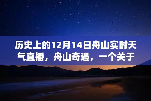 舟山的天气故事，友情、爱与陪伴的温馨直播纪实