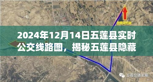 揭秘五莲县隐藏公交路线，特色小店与公交之旅的惊喜故事（实时线路图）