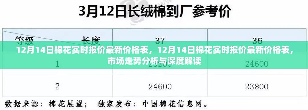 12月14日棉花实时报价最新价格表及市场走势深度分析与解读