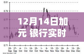 12月14日加元银行实时汇率详解，操作指南与货币转换全攻略（适合初学者与进阶用户）