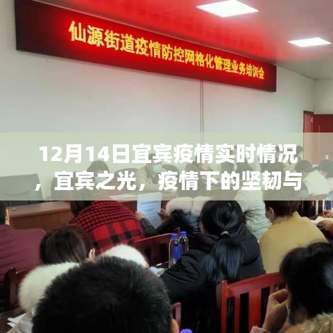 宜宾疫情实时动态，坚韧成长之路与学习的自信成就