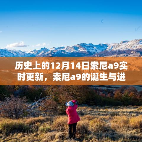 索尼a9的诞生与进化，回顾十二月十四日的历史性瞬间及实时更新历程