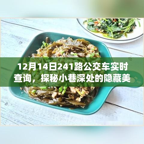 探秘小巷深处美味，跟随12月14日241路公交车开启味蕾之旅