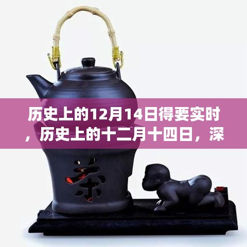 历史上的十二月十四日，深度解读与反思的实时探讨