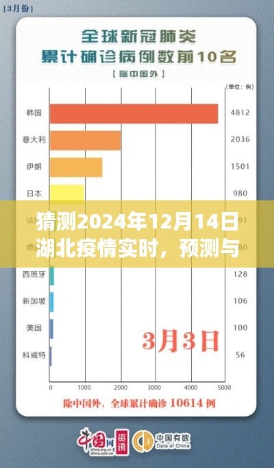 聚焦湖北疫情，预测与期待2024年湖北疫情实时动态发展分析