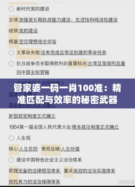 管家婆一码一肖100准：精准匹配与效率的秘密武器