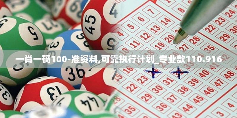 一肖一码100-准资料,可靠执行计划_专业款110.916