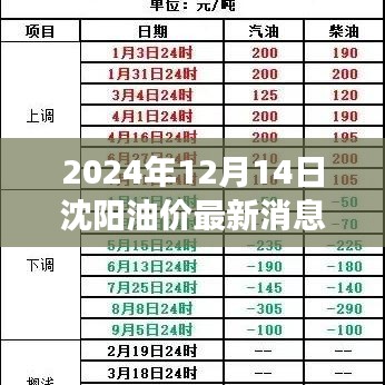 2024年12月14日沈阳油价最新动态与影响观察