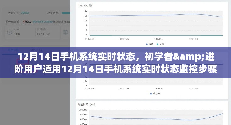 12月14日手机系统实时状态监控指南，初学者与进阶用户适用