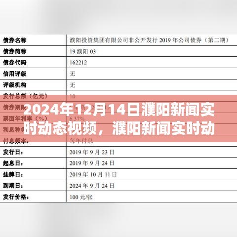 聚焦濮阳新闻实时动态，2024年12月14日重要时刻实录