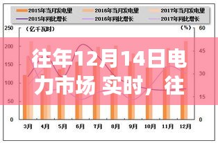 往年12月14日电力市场实时分析与指南，初学者与进阶用户的参考手册