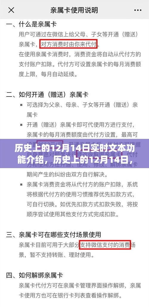 历史上的12月14日实时文本功能演变与影响概述