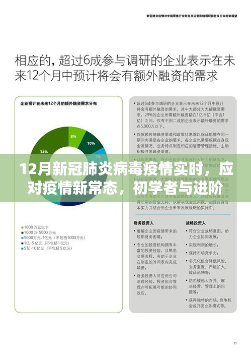 初学者与进阶用户指南下的新冠肺炎病毒疫情实时应对策略，应对疫情新常态的指南